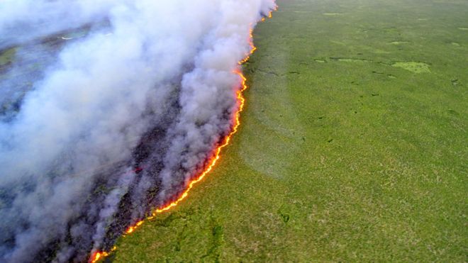 Amazon yangınları: Brezilya lideri Bolsonaro 'yaptırım' çağrıları sonrası orduyu devreye sokuyor