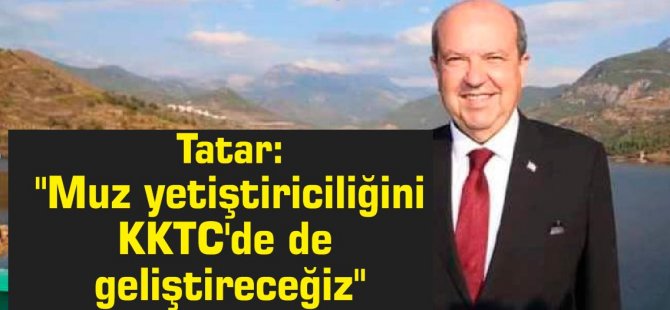 Tatar: "Muz yetiştiriciliğini KKTC'de de geliştireceğiz"
