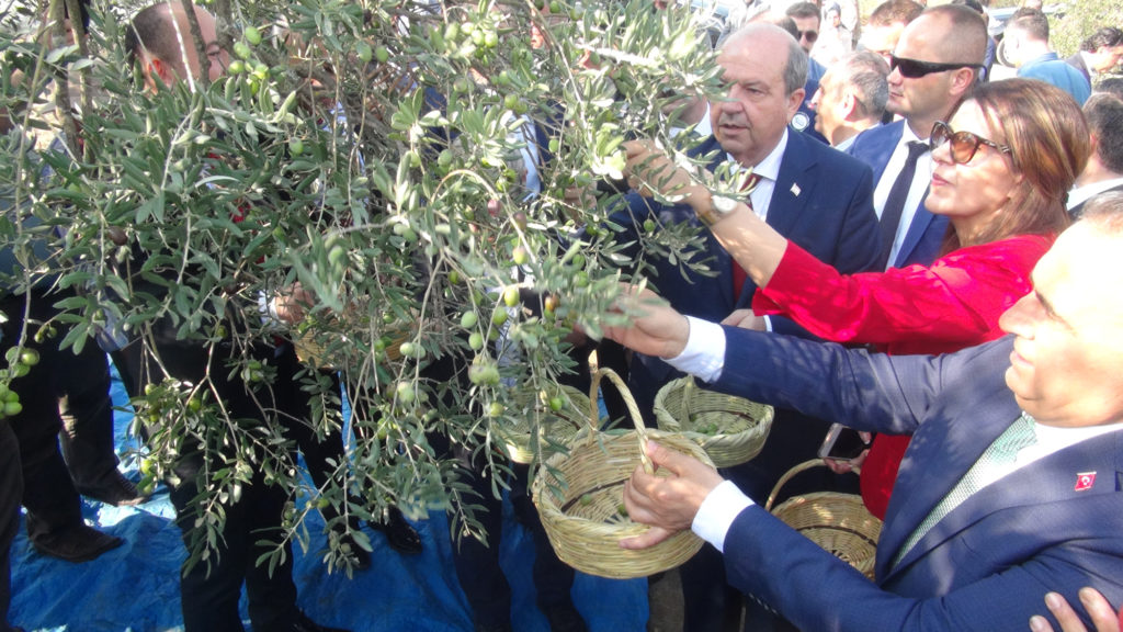 Başbakan Tatar, Hatay’da zeytinyağı festivaline katıldı