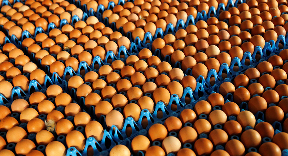 Hindistan'da iddia üzerine 41 yumurta yiyen kişi öldü