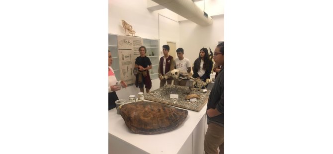 Yakın Doğu Koleji öğrencileri Kıbrıs Herbaryum ve Doğa Tarihi Müzesi’nde endemik bitki, böcek ve sürüngen örneklerini incelediler