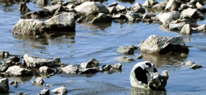 Van Gölü’nde sular çekilince insan kemikleri ortaya çıktı