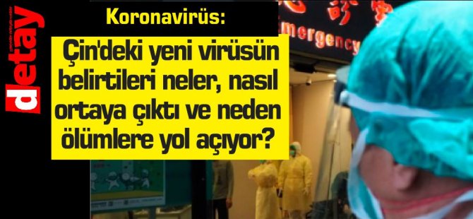 Koronavirüs: Çin'deki yeni virüsün belirtileri neler, nasıl ortaya çıktı ve neden ölümlere yol açıyor?