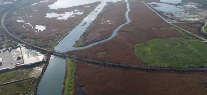 Kanal İstanbul için 458 hektarlık ormanlık alan yok olacak