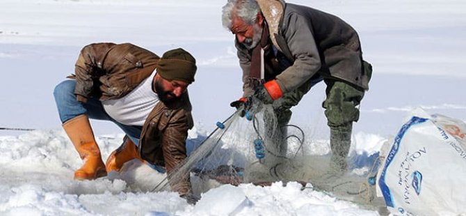Van'da Donan baraj gölünde Eskimo usulü balık avlıyorlar