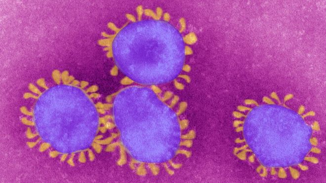 Pandemi nedir, koronavirüs pandemiye dönüşür mü?