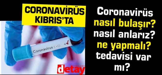 Koronavirüs Kıbrıs'ta; peki nedir bu Koronavirüs ? İşte 16 maddelik kılavuz