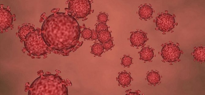 Uzmanlardan Mevsimsel Hastalıkların Koronavirüsle Karıştırılmaması Uyarısı