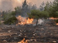 Güney Kıbrıs’ta Şüpheli Yangınlar