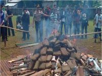 Endonezya’da polis 3.3 ton marihuana yaktı, tüm köy dalgada!