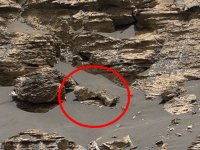 NASA'nın çektiği fotoğraf, Mars'ta hayat olduğunu kanıtladı