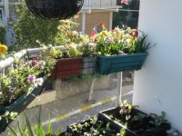 Girne Belediyesi En Güzel Bahçe, Balkon Yarışması Sonuçları Belli Oldu