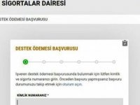 4 bin TL destek ödemesi başvuruları başladı