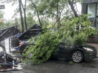 ABD'de Tropikal Fırtınaya Dönüşen Isaias Kasırgası 2 Can Aldı