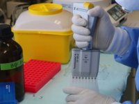 Güney Kıbrıs’taki Koronavirüs Vakaları… Baf’ta Her 60 Kişiden 1’i Pozitif