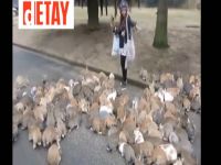 Şok eden tavşan görüntüleri (VİDEO)