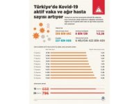 Türkiye'de Kovid-19 Aktif Vaka Ve Ağır Hasta Sayısı Artıyor