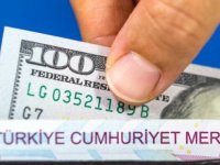 Dolar neden yükselir ve neden düşer?