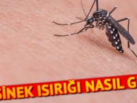 Sivrisinek ısırığına ne iyi gelir? Sivrisinek ısırığı nasıl geçer?