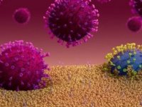 Koronavirüs mutasyon geçirirse ne olur?