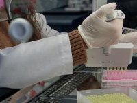 Bilim İnsanları, 218 Gündür Koronavirüsü Atlatamayan Kişiyi Araştırdı