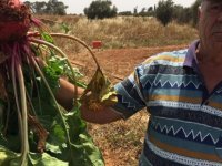 Slow Food Salamis 10 Aralık Terra Medra Toprak Ana Günü’nü Kutladı