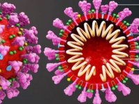 Mutasyonla Koronavirüs Daha Beter Oldu! Aşı Umudu Karardı