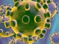 Koronavirüs Aşıları Mutasyona Uğrayan Koronavirüse Karşı Etkili Olacak Mı?