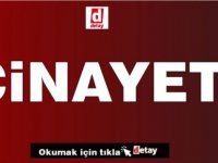 Son Dakika Haberi: Girne'de cinayet, köpeği 5. kattan aşağı attı!