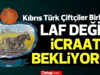 Kıbrıs Türk Çiftçiler Birliği:Artık tahammülümüz kalmamıştır