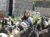Yılbaşı harçlığıyla 20 civciv alan 9 yaşındaki Lidya'nın 65 tavuğu oldu