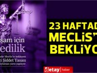 ‘Ev İçi Şiddet Yasası’ 23 haftadır Meclis’te ivedilik oylaması için bekliyor!