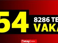 8286 test yapıldı, 34'ü yerel 54  pozitif vaka