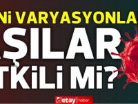 Hindistan, Brezilya, Güney Afrika ve İngiliz varyantlarının farkları neler, aşılar etkili oluyor mu?