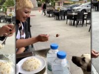 Köpeğe kaşıkla yemek yedirdi, sosyal medyada tartışma konusu oldu