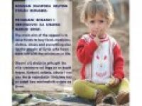 Bosna'lı diyasporadan Suriye'ye yardım