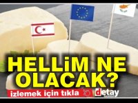 Hellim dosyası aleyhine bir dava daha beklemede