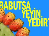 İşte Babutsa mucizesi