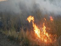 KEMA Vakfından "Yangın Merkezleri kurulsun" çağrısı
