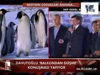 Halk TV'den penguen göndermesi