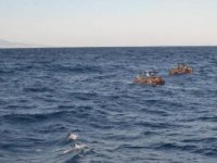 Libya Açıklarında 2 Göçmen Teknesi Alabora Oldu: 164 Ölü
