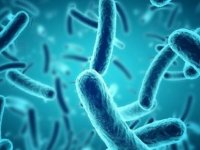 Cinsel Yolla Bulaşan Hastalık Ortaya Çıktı: Antibiyotiğe Dayanıklı Bakteri Paniği Yaşanıyor