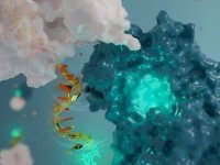 Sentetik DNA İle Nano-Anten Geliştirildi