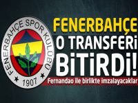 Fenerbahçe o transferi bitirdi!