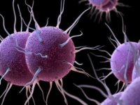 Uzmanlar Uyardi: Cinsel Yolla Bulaşan Antibiyotiğe Dayanikli Bakteri Yayiliyor