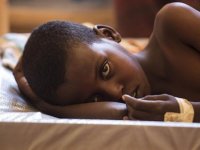 Kamerun'da Yeniden Ortaya Çıkan Kolera Salgınında Vaka Sayısı Hızla Artıyor