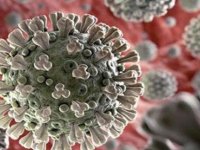 Latin Amerika ülkelerinde koronavirüs nedeniyle can kayıpları artmaya devam ediyor