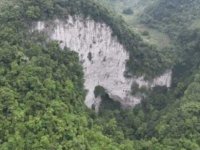Çin’de yeraltında binlerce yıllık orman bulundu