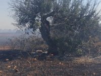 Bakan Oğuz:450 dönümlük bir alan yandı, ekipler gece boyunca bölgede olacak