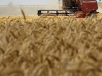 Ukrayna: Tahıl ihracatı birkaç gün içinde başlayabilir